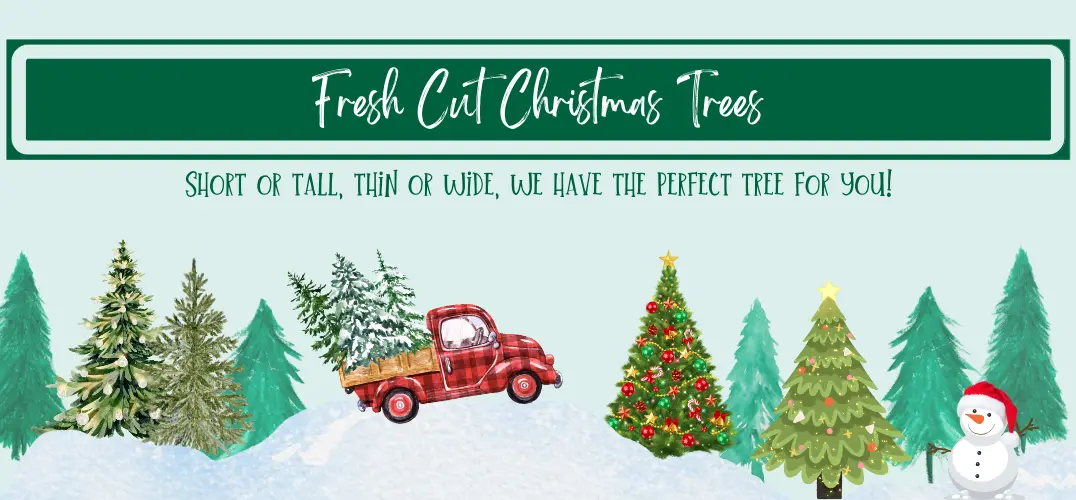 Christmas Trees Ad